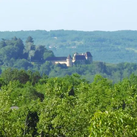 Дом отдыха Le Moulin A Vent Plazac