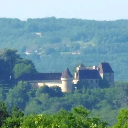 Le Moulin A Vent * Plazac